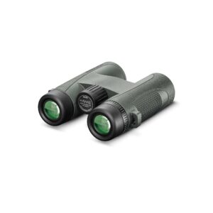 hawke-endurance-ed-8x32-binocular-fernglas-grün-green-blackeagle-outdoors-36201 (1)