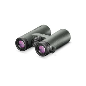 hawke-optics-frontier-apo-8x42-fernglas-binocular-grün-blackeagle-outdoors-38510 (3)