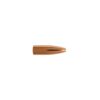 4-40508_22_Caliber_55_Grain_FB_Varmint-berger-geschoss-kaufen-blackeagle-outdoors-wiederladen-reload-long-range-geschosse